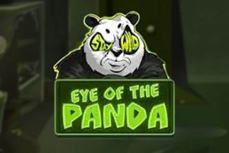 Eye of the Panda